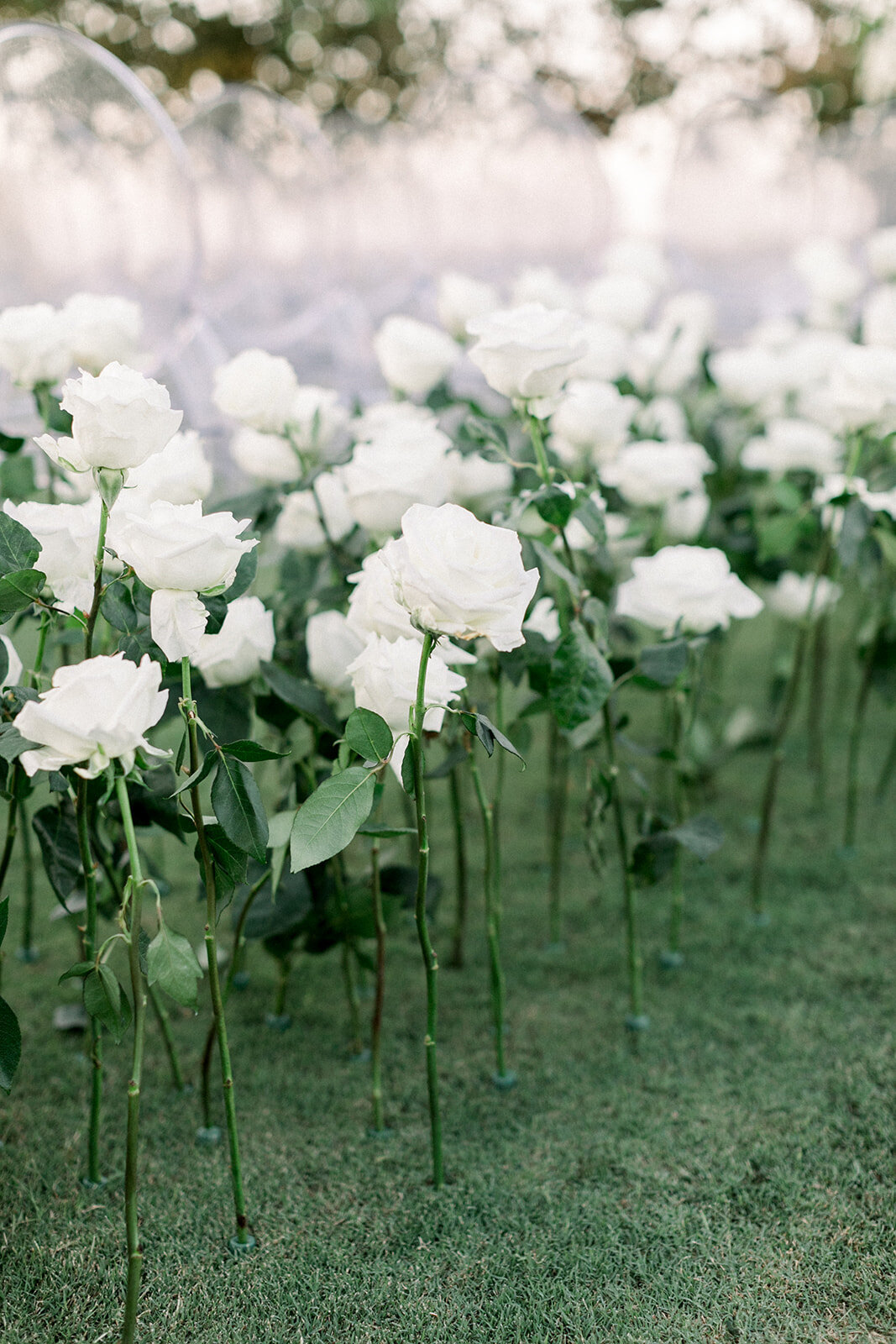 Previews Alexis and Dustin Rolling Hills Country Club Wedding _ Hello Blue-24