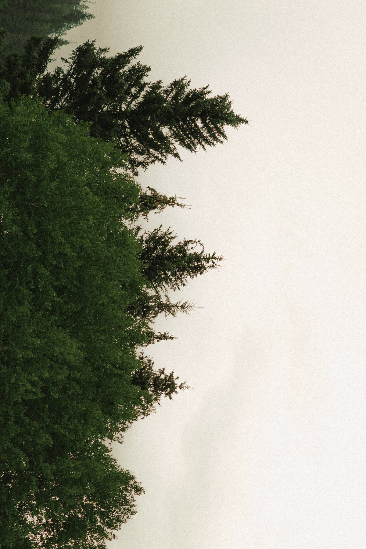 Sophia&DuaneJones-PaytonHartsellPhotography-10