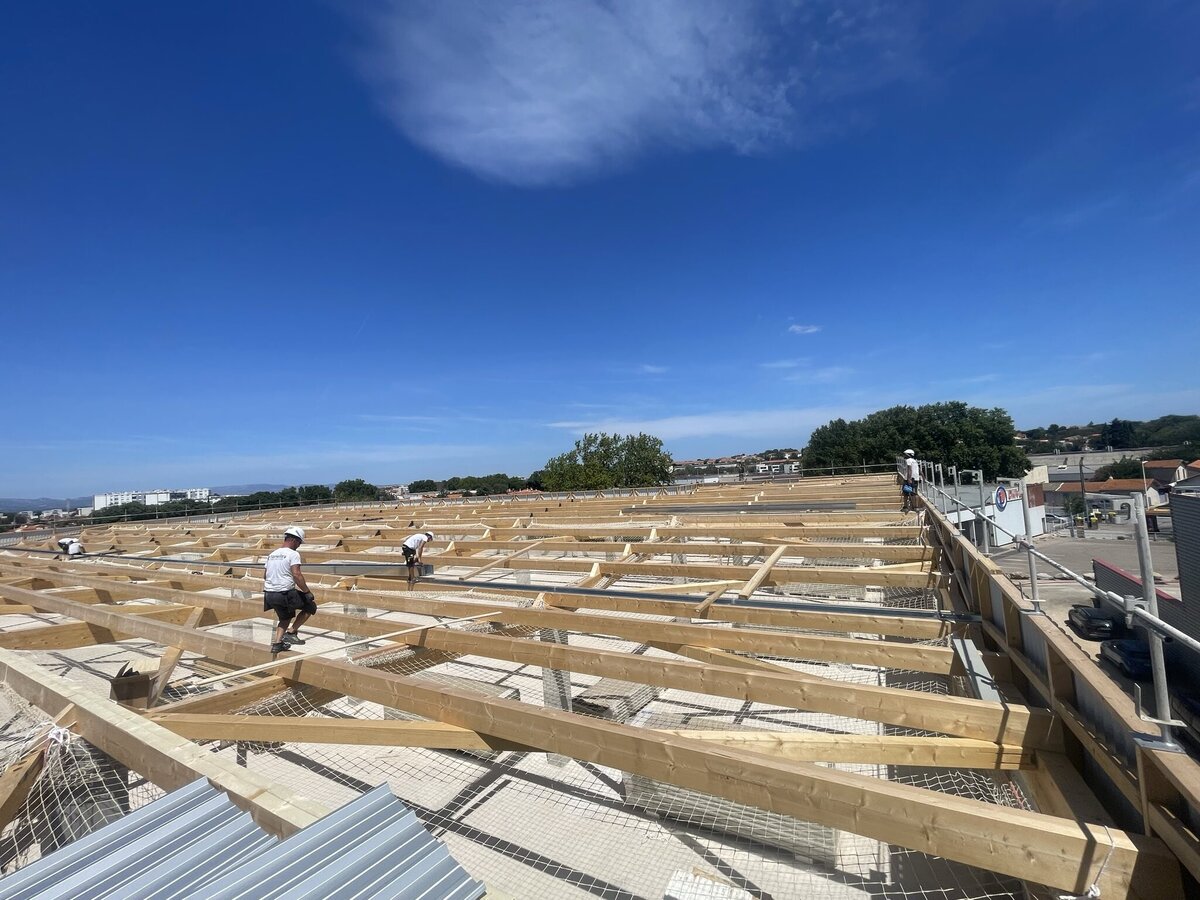 signal-2024-12-11-134715-2