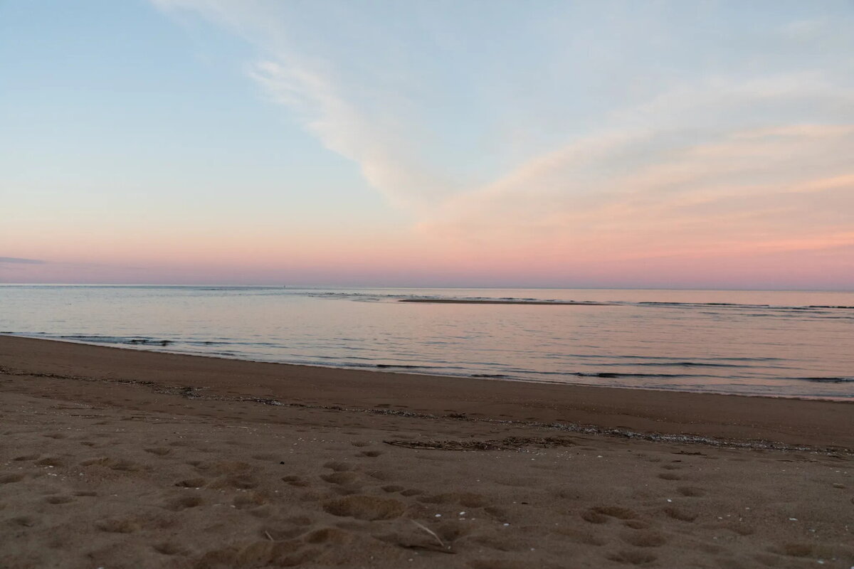 ocean bid wings sky sunset