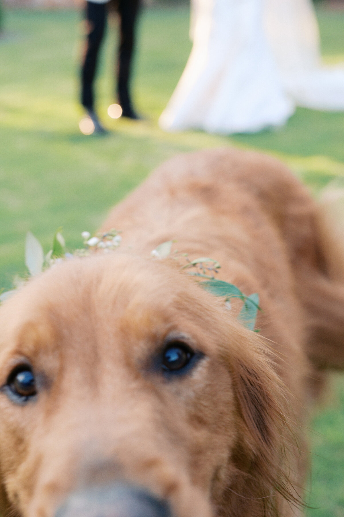 Southeast Wedding Photographer - Eric and Jamie Portfolio-147