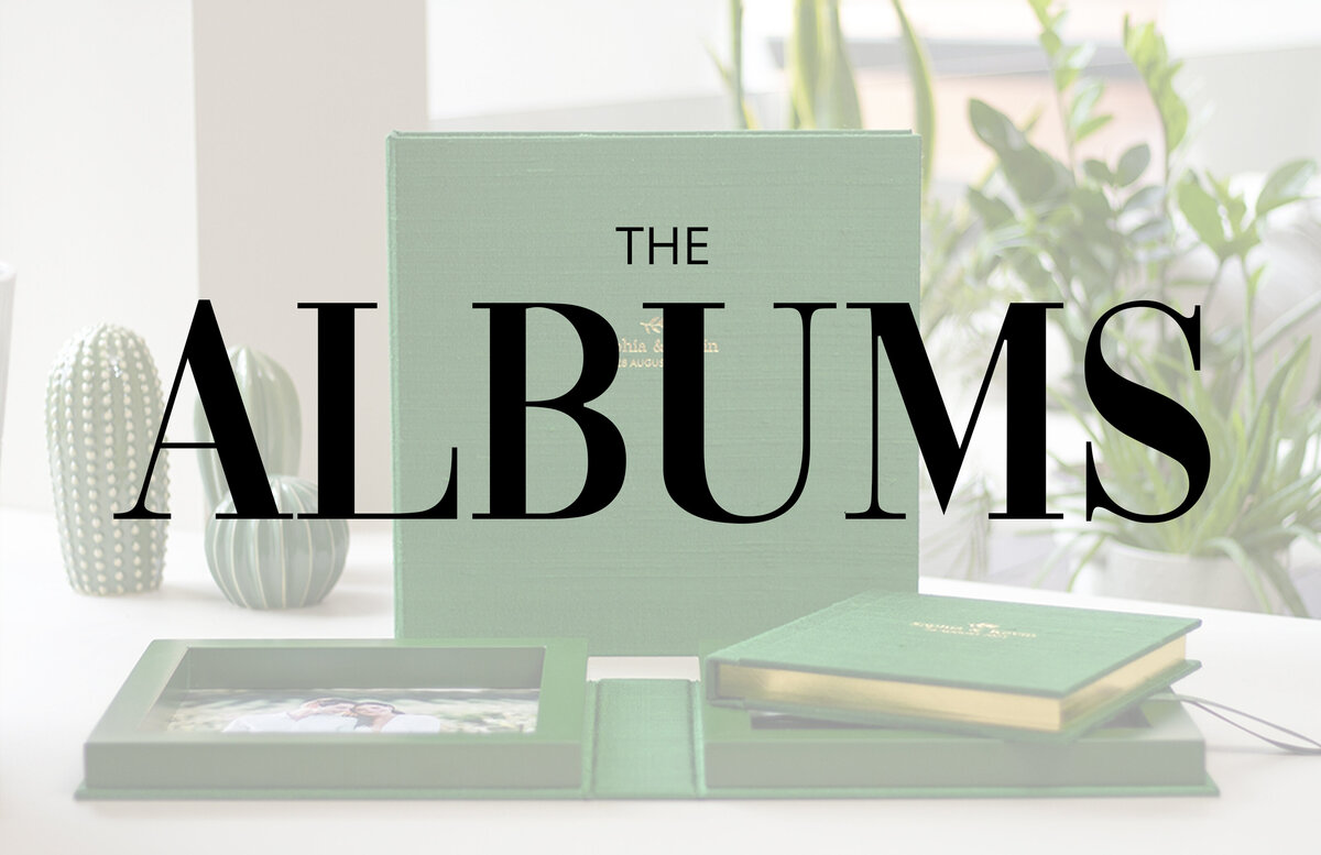 017 - pg 32-33  - Intro - The Albums
