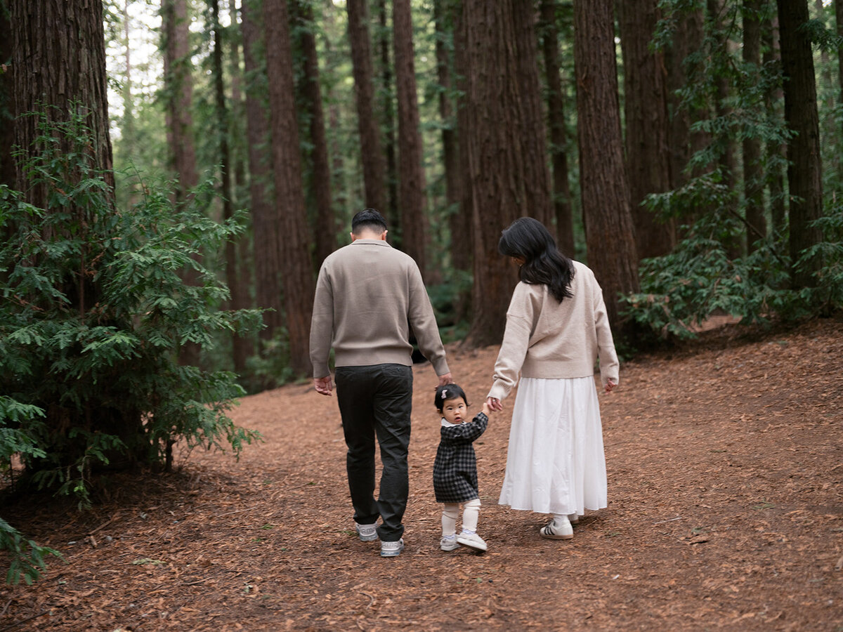 East Bay redwood grove family photography Oakland fall session