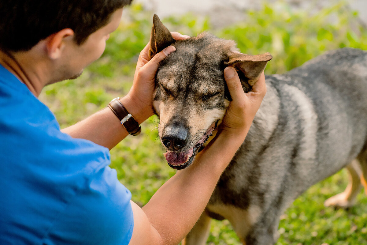 New Orleans Pet Photographer 29