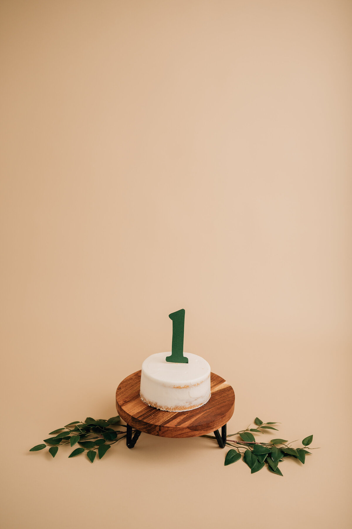 Canton CT Cake Smash Photographer | Connecticut First Birthday Photography-4