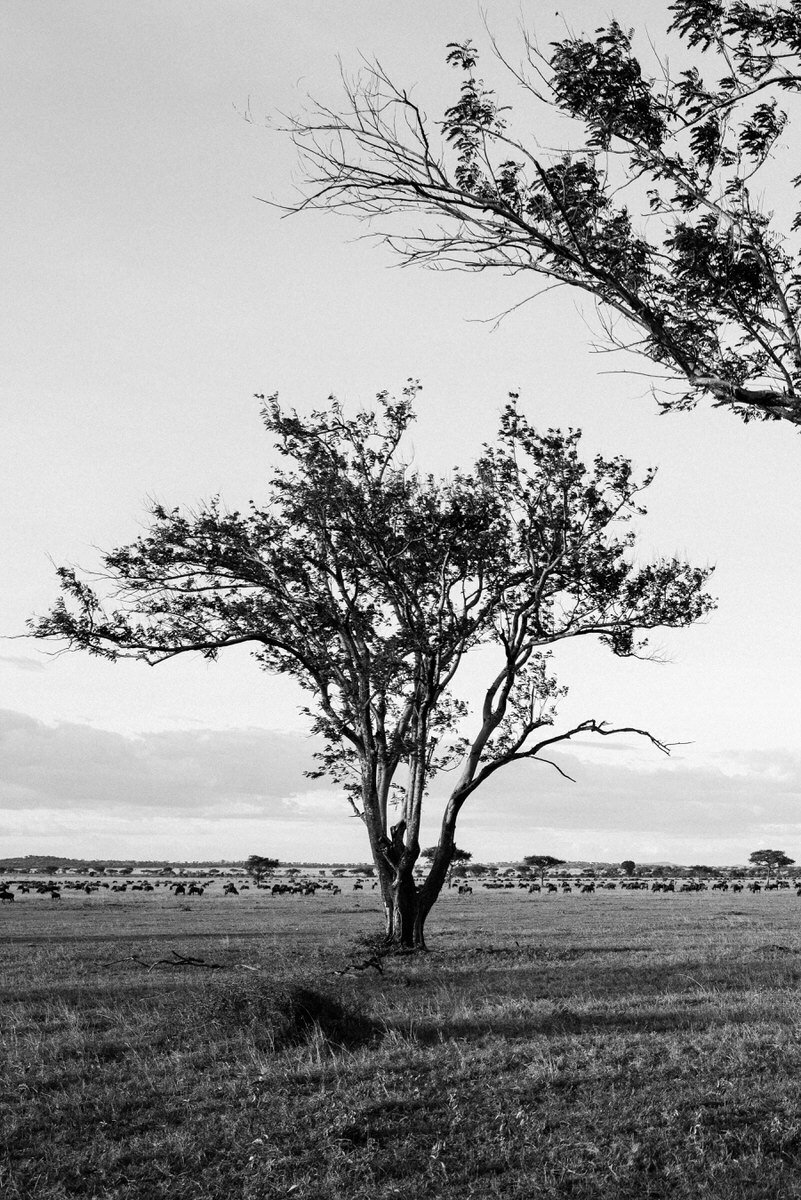 leila-brewster-photography-tanzania-0437