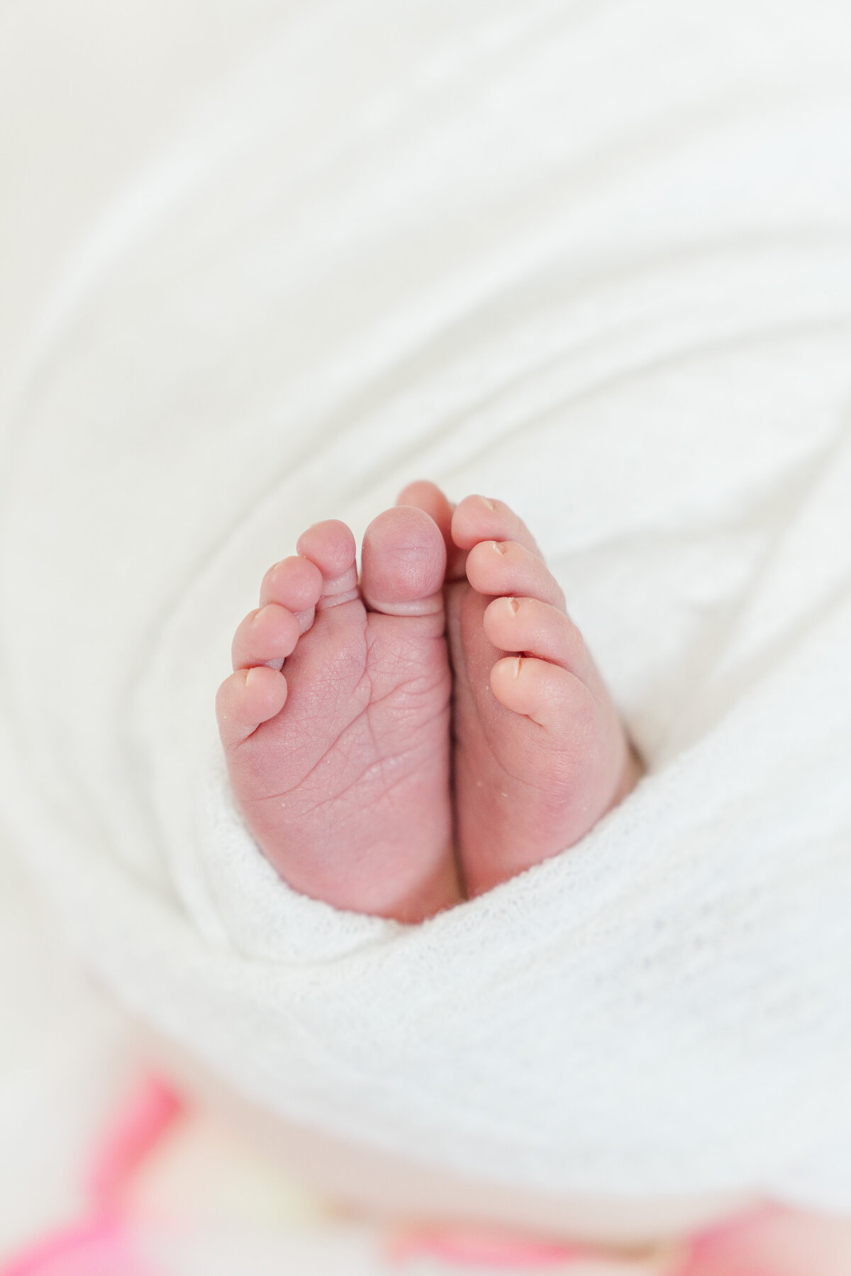 Pink and White Classic Lifestyle Baby Girl Newborn Photos Castle Rock Colorado Elena Spraguer Photography 0013