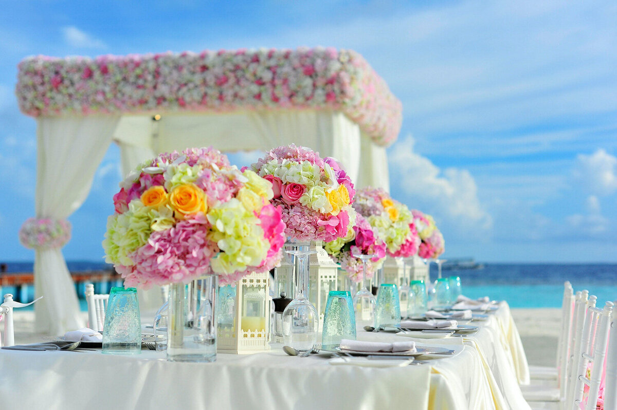 New-Pink-Plumeria-Showit-Website-Template-for-Wedding-Planners-58