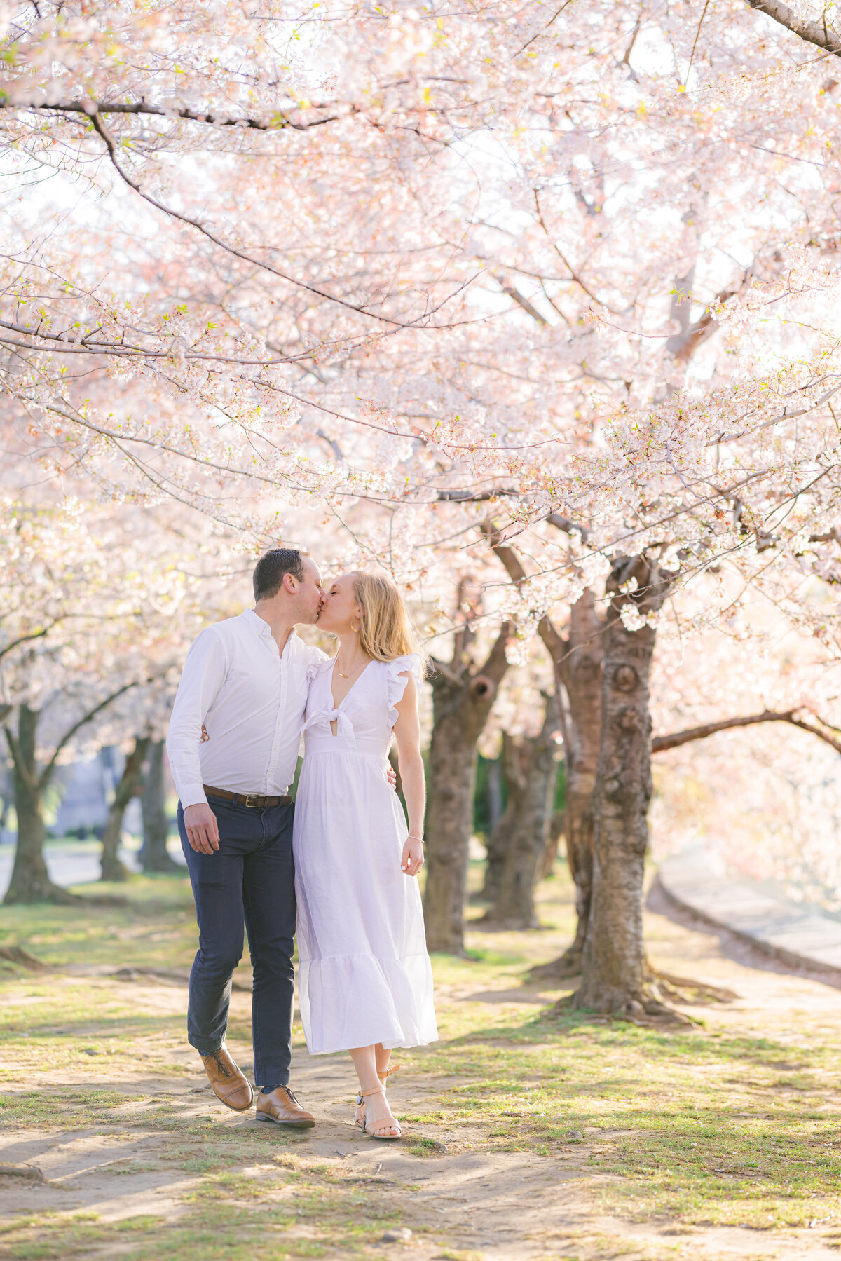 cherry blossoms washington dc engagement