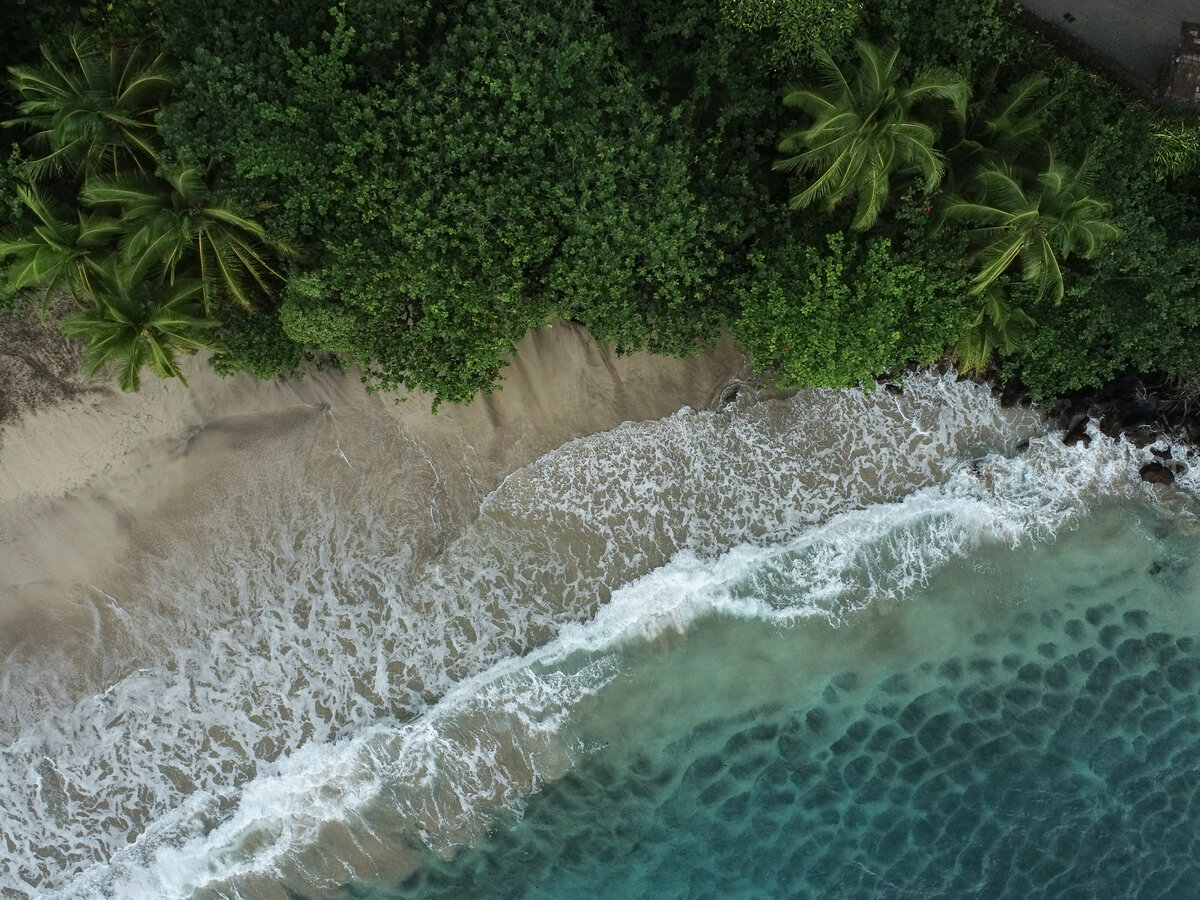 Maui Drone