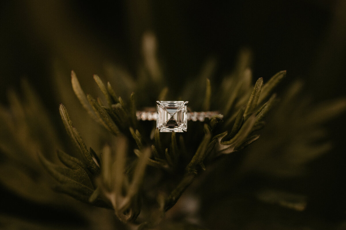 Melissa_Phil_Engagement_Session_Sneak_Peek_5.20.21-26