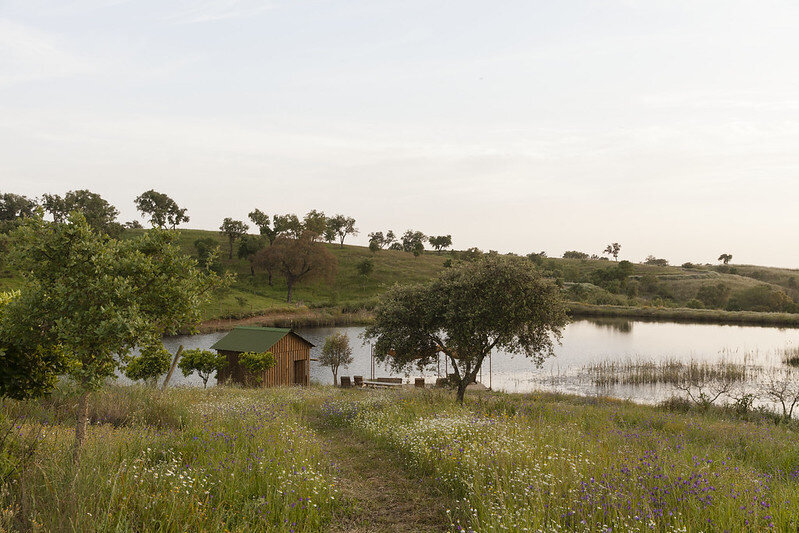 53704893546_e7afd9592a_c