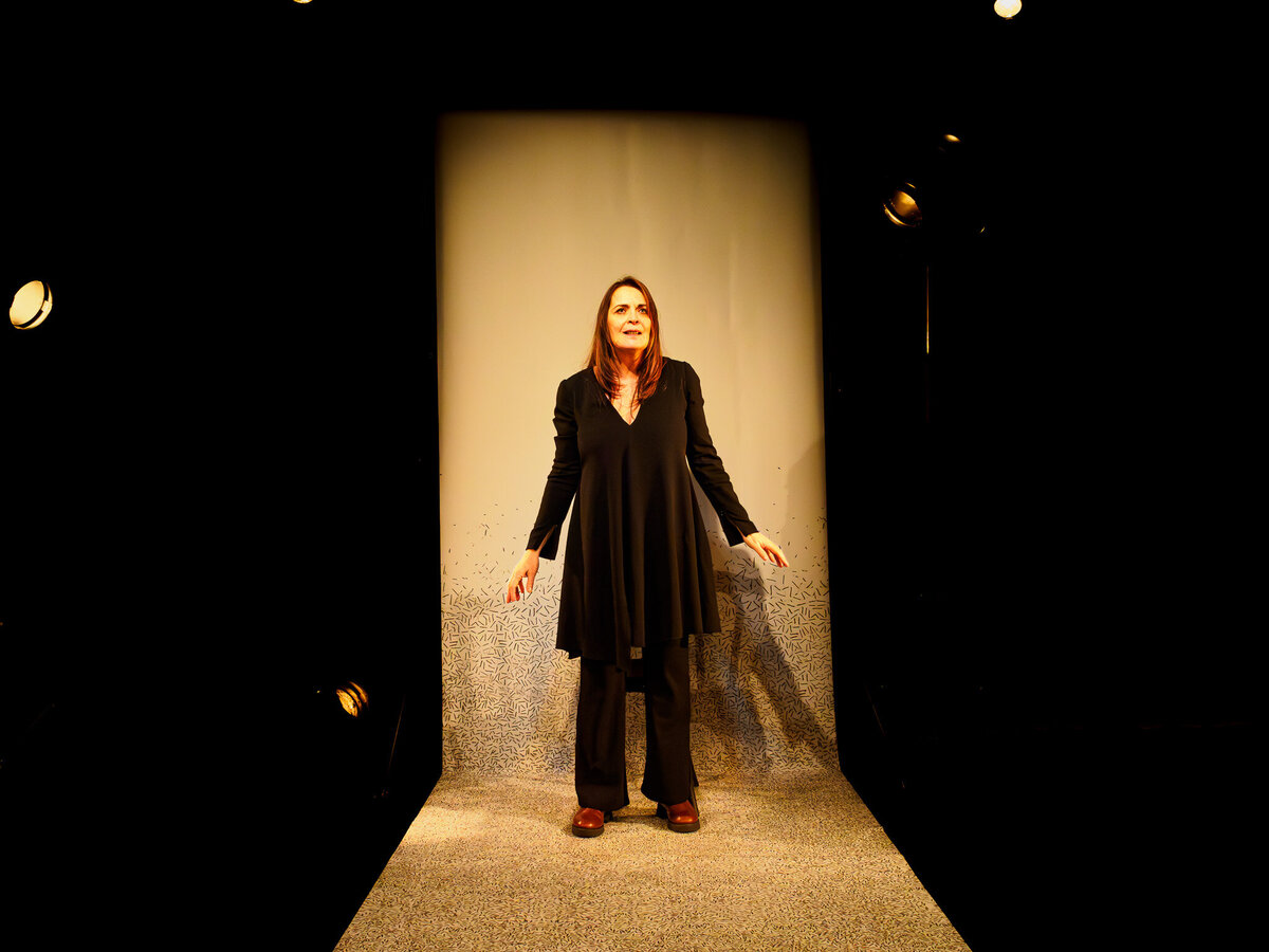 LA FILLE QUI SE SAUVE Cie Amonime TexteCléa Pétrolesi et Catherine Le Hénan_1270028-2-Enhanced-NR