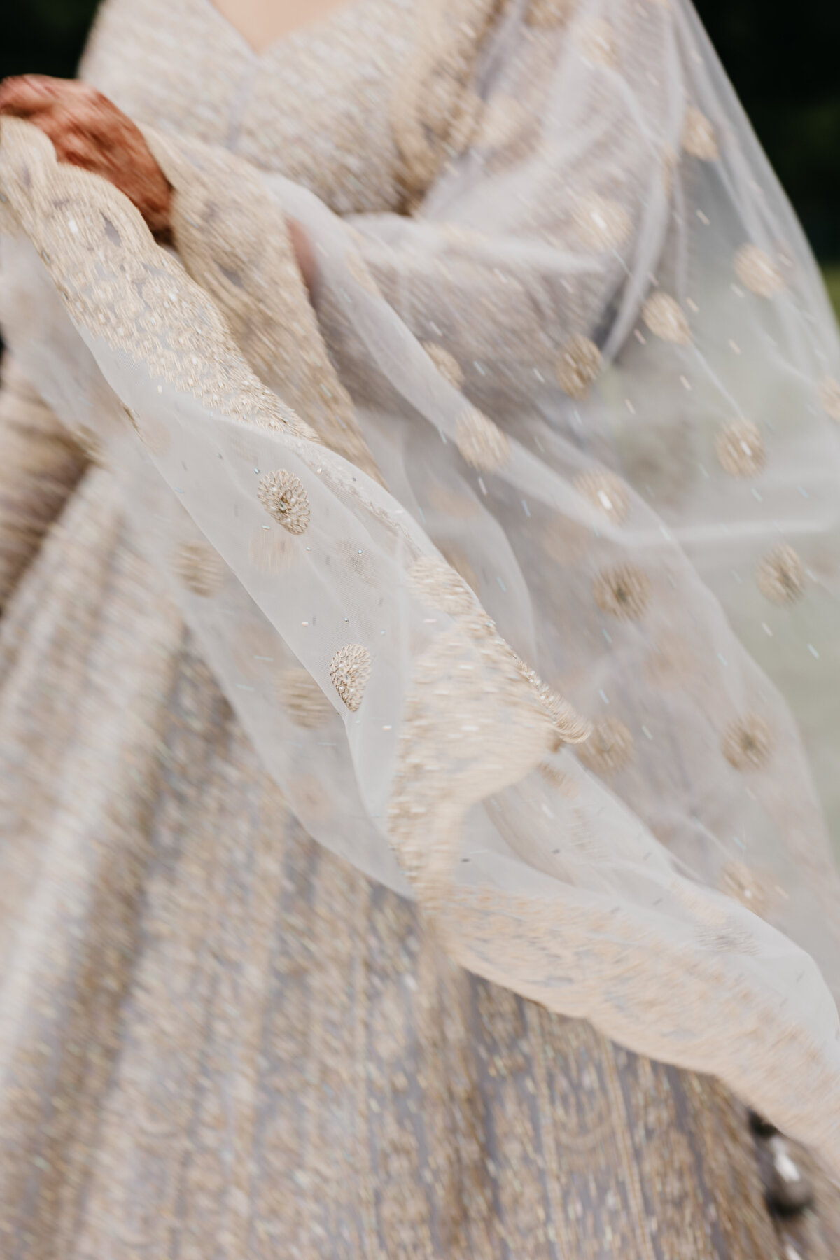 ABphotos-2607