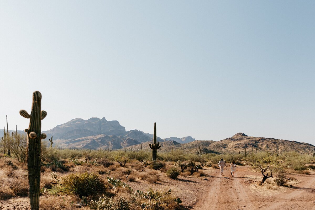 Phoenix-Arizona-Desert-Elopement-Wedding-Photography_0008