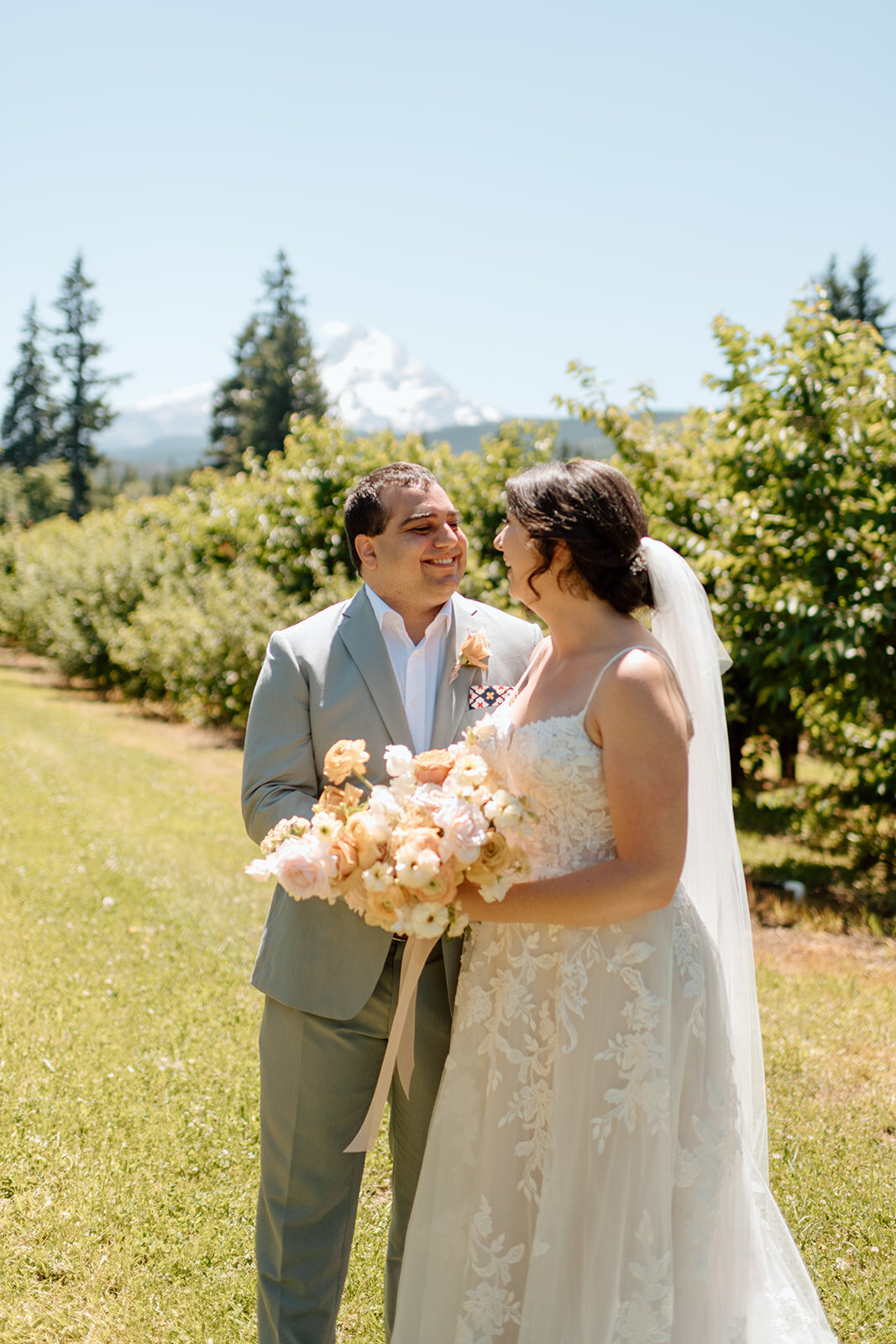 Mt View Orchards