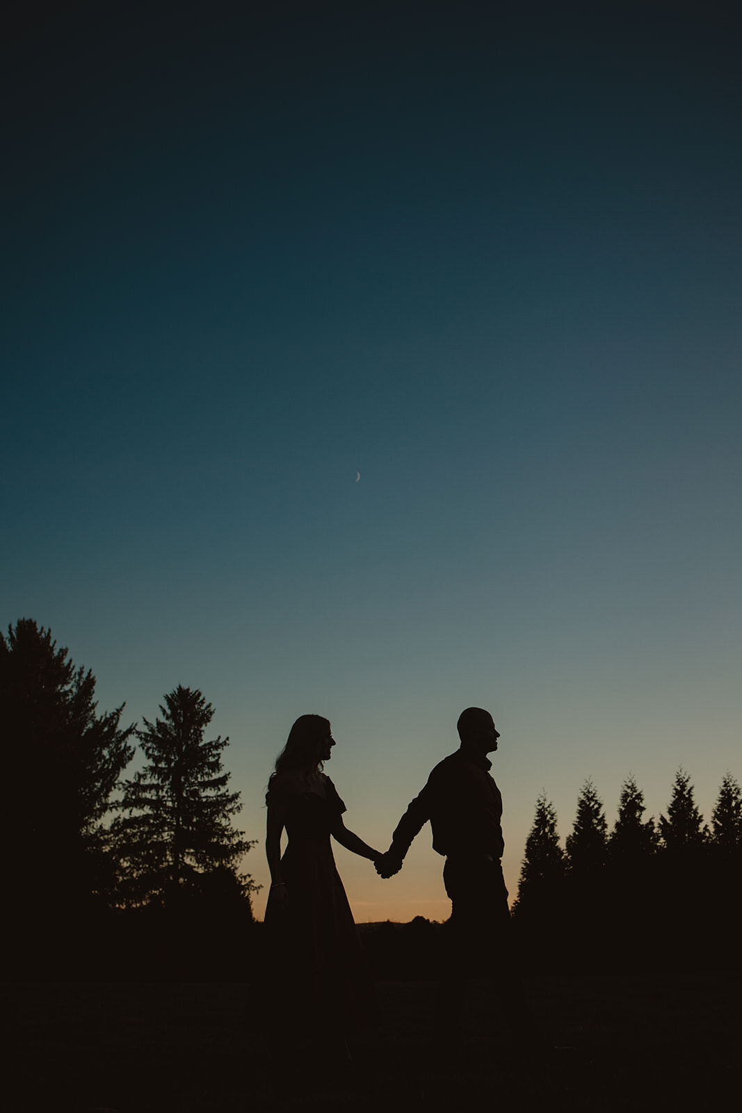 The silhouette of a couple holding hands and walking in a park 