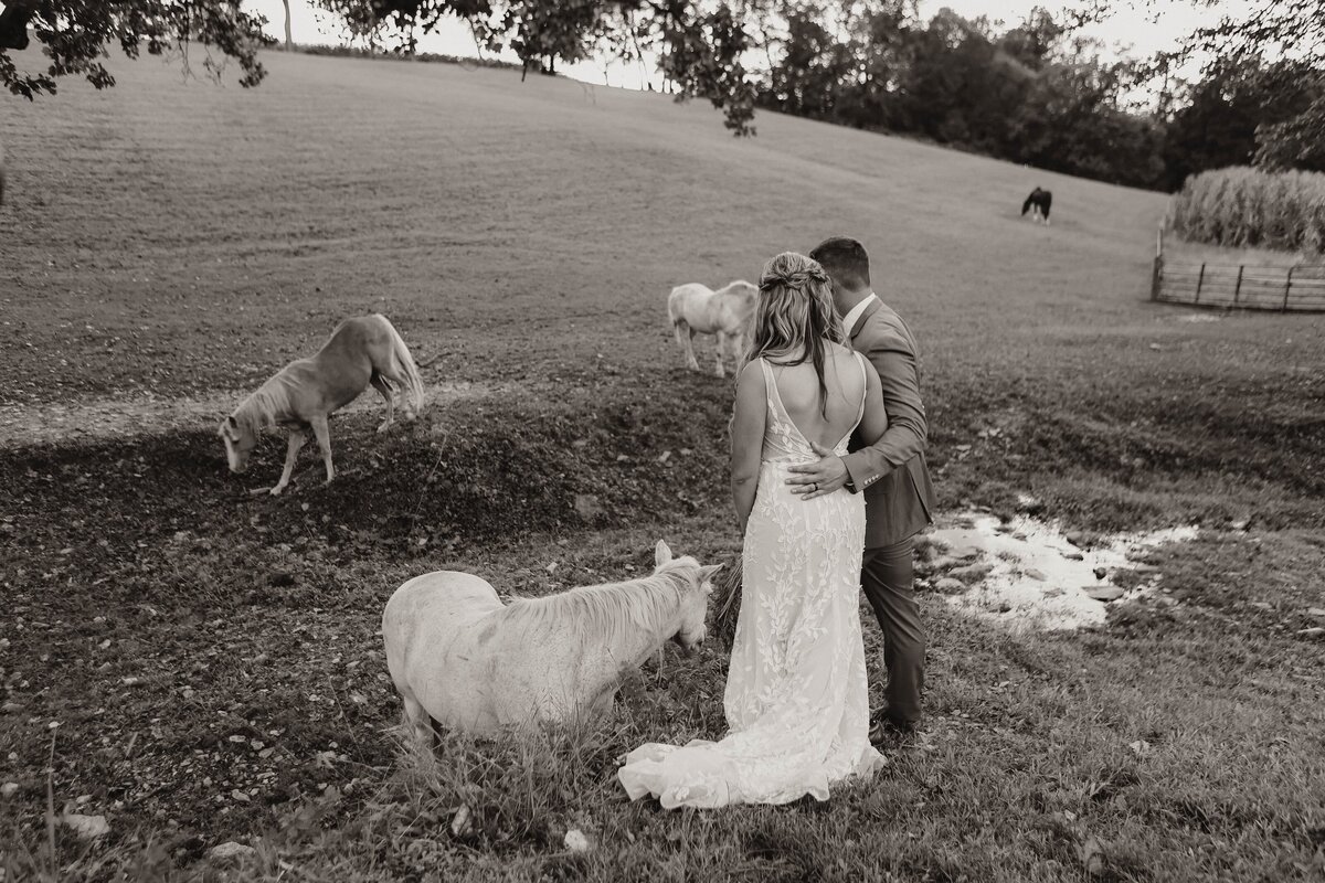 destination-elopement-photographerMG2A8590