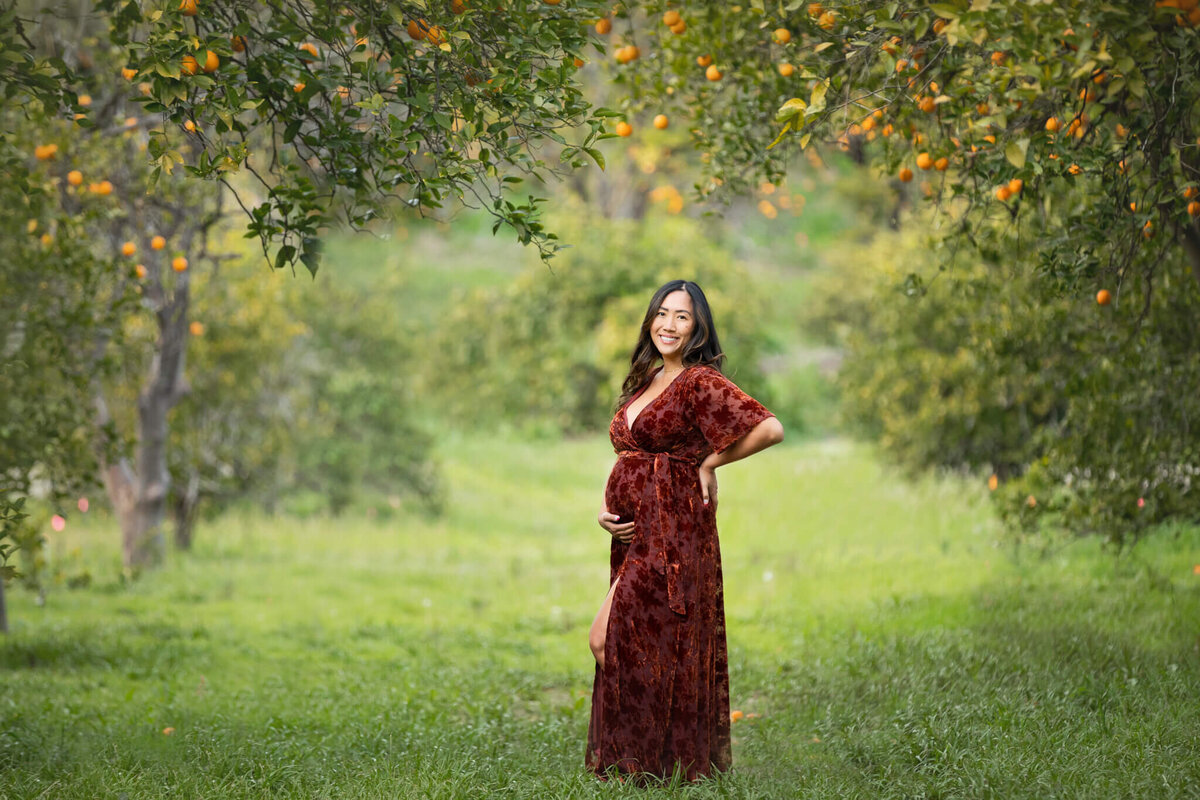 New mom to be photographed at a Woodland Hills park under the orange trees