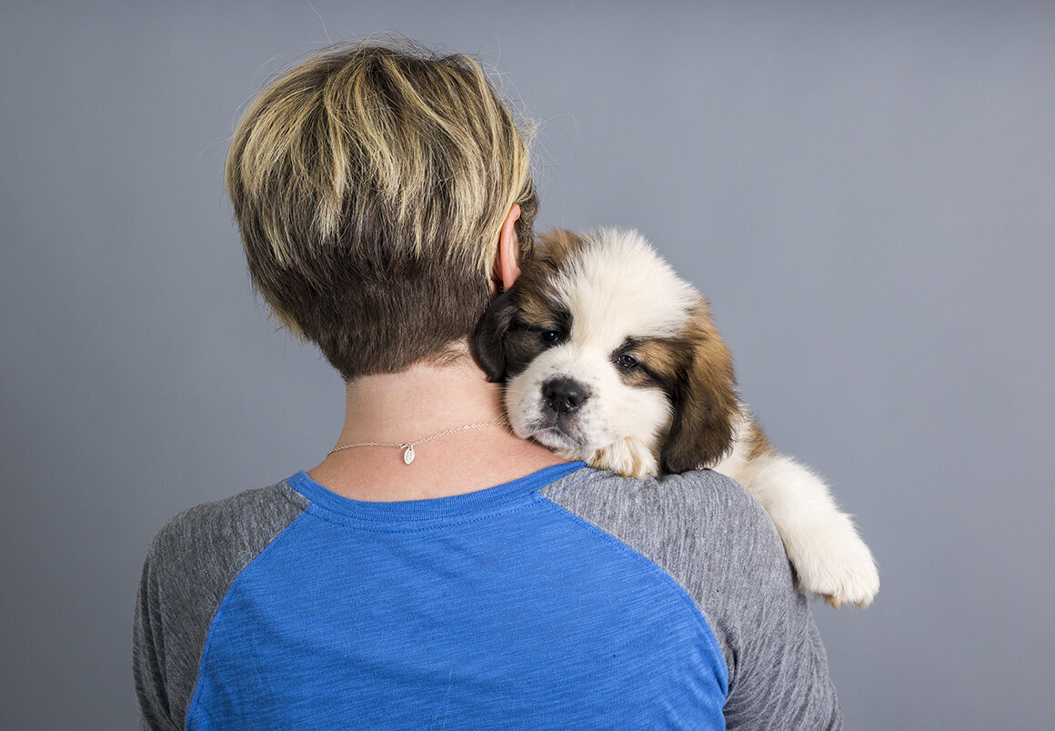 example-puppy-photo-session