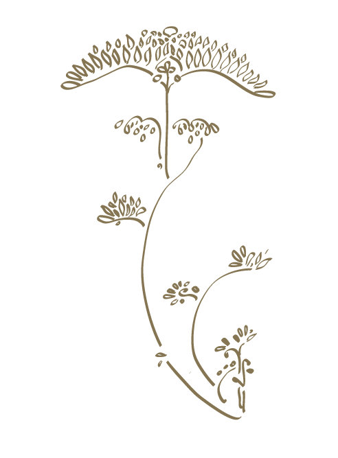 CCC_Templ_Body Illustrations 2-1