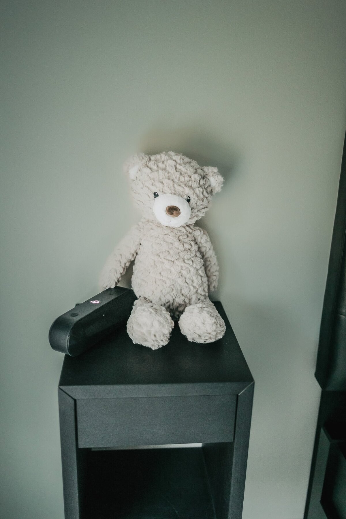 louisiana northshore birth photographer 4