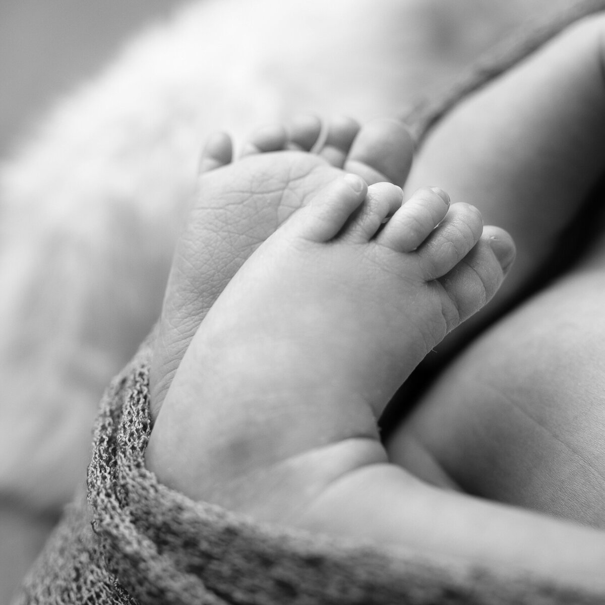 Newborn's Tiny Feet photoshoot by Laura King