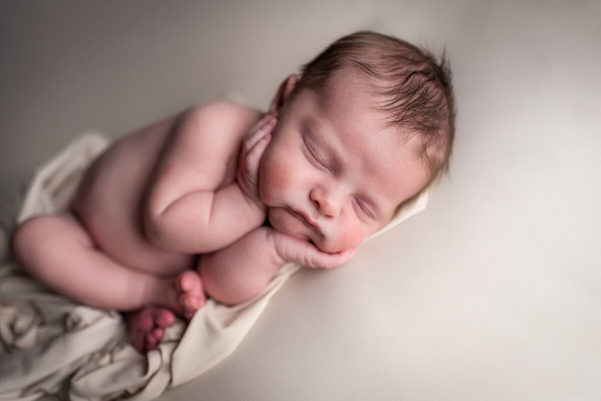 baby boy posed in timber on white newborn photographer northeast fort wayne bluffton indiana