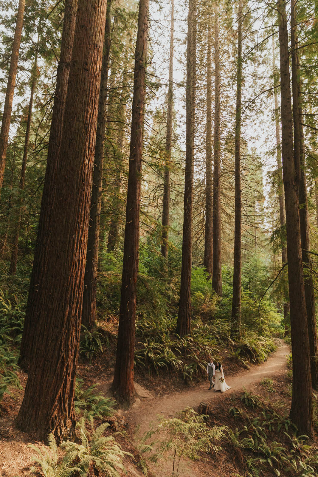 Marissa-Solini-Photography-Hoyt-Arboretum-Redwoods-Elopement-Marena _ Jake-41