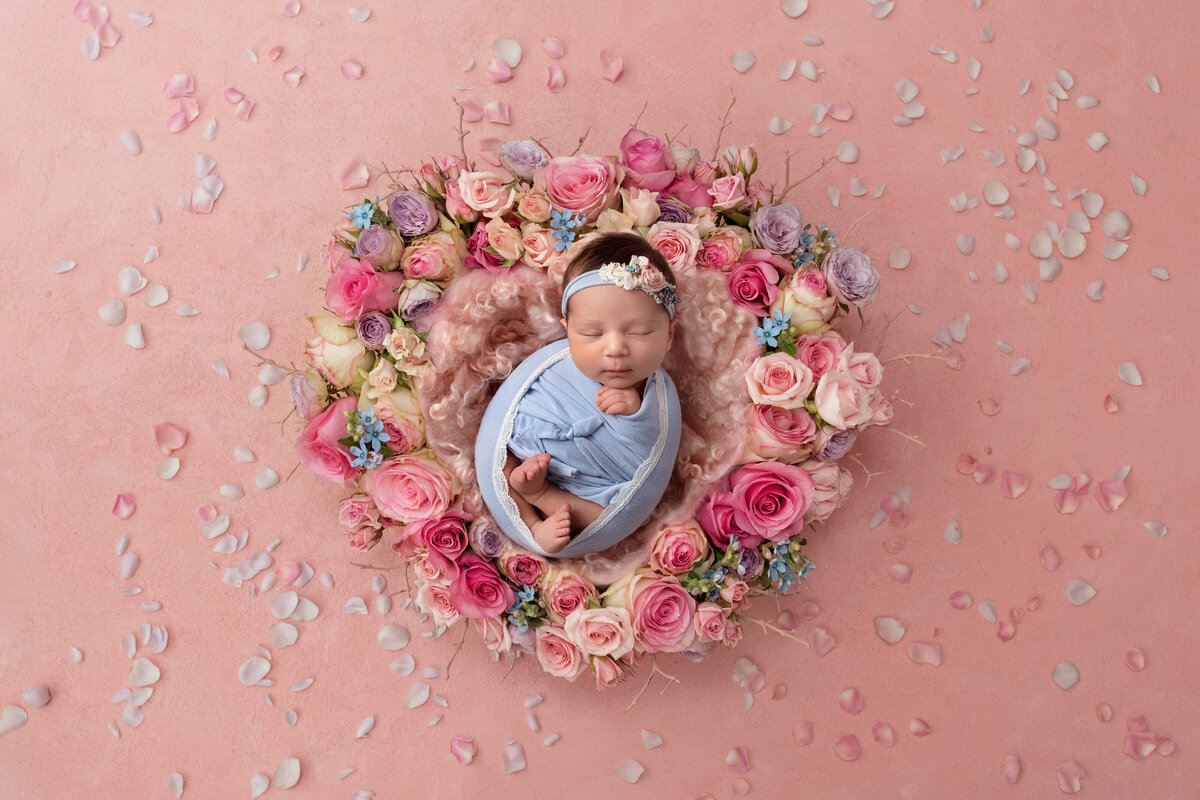 2022-01-04 - Sofia's Newborn Session - 19 days (Rita Maria Salameh)Composite2