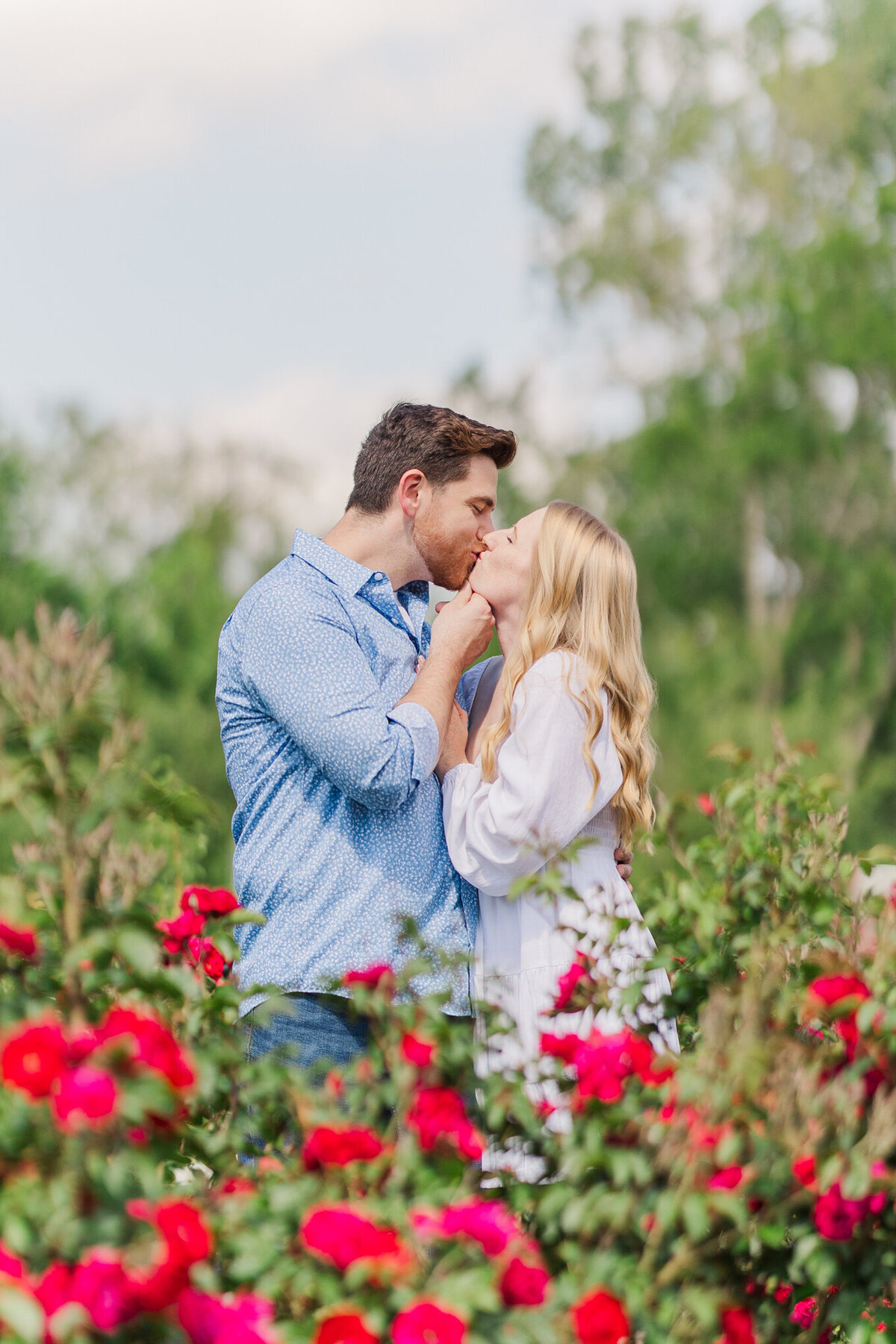 Claire Katan romantic, true-color engagment photography at Lauritzen Gardens rose garden.