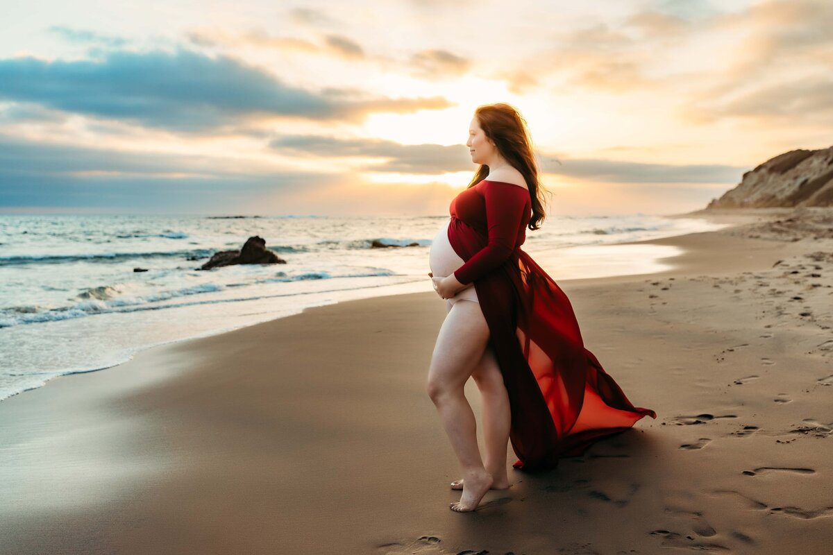 Designed In Love Photography - Maternity - 100