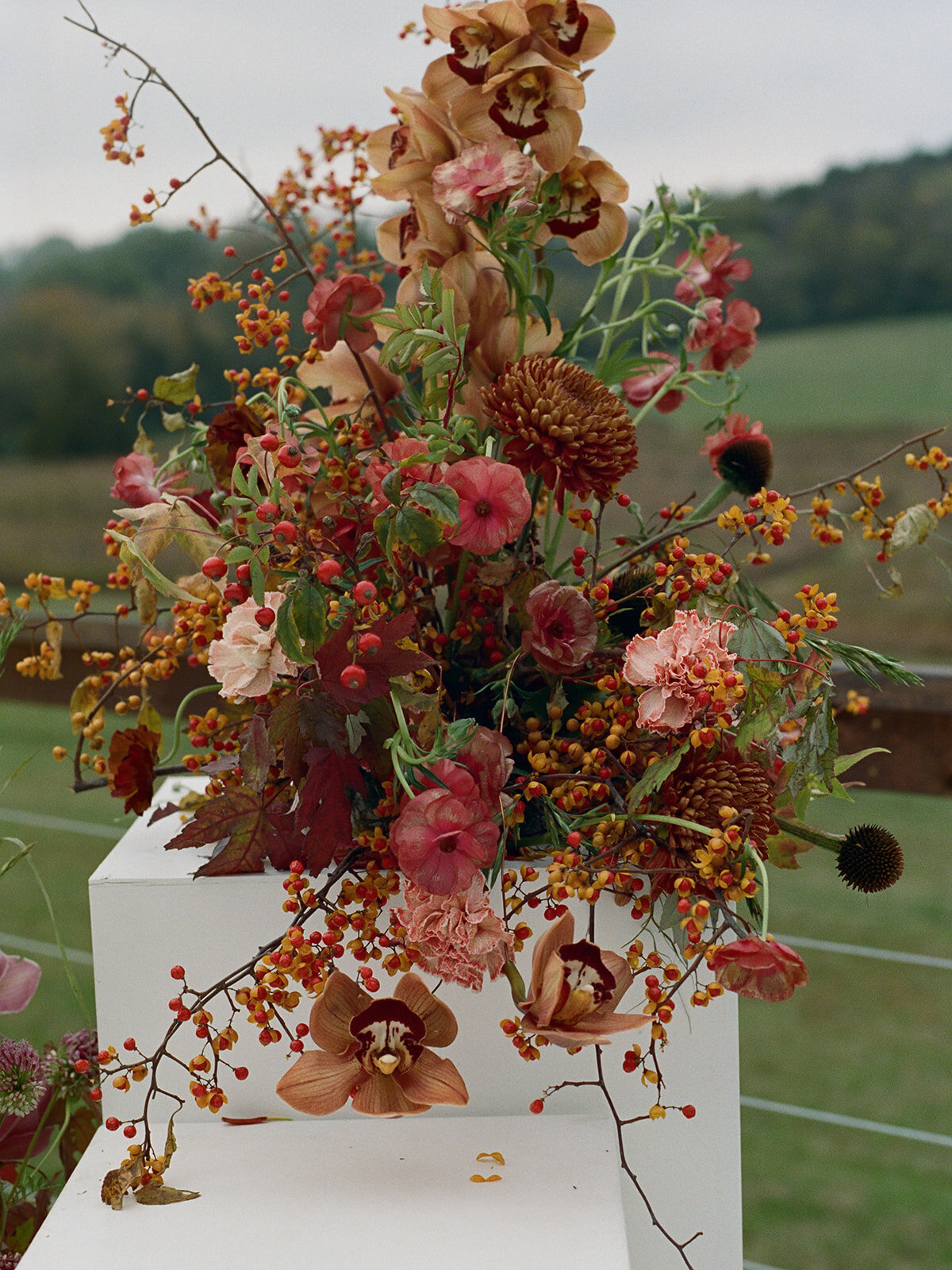 Sculptural columns wedding ceremony backdrop. Stair step white ceremony columns adorned with sculptural floral meadows in fall hues. Clear top tent build out for fall wedding reception in Tennessee hills. Wire threaded orchids, bittersweet berries, butterfly ranunculus, and tulips are highlighted in this wedding ceremony backdrop. Artistic fall color palette in copper, gold, ruby, lavender, and rust. Design by Rosemary & Finch Floral Design in Nashville, TN.