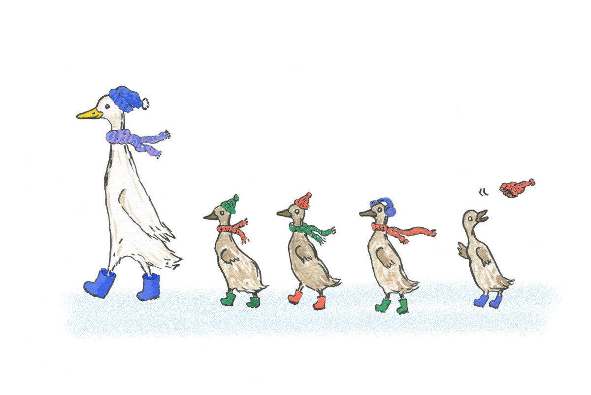 Winter-Ducks