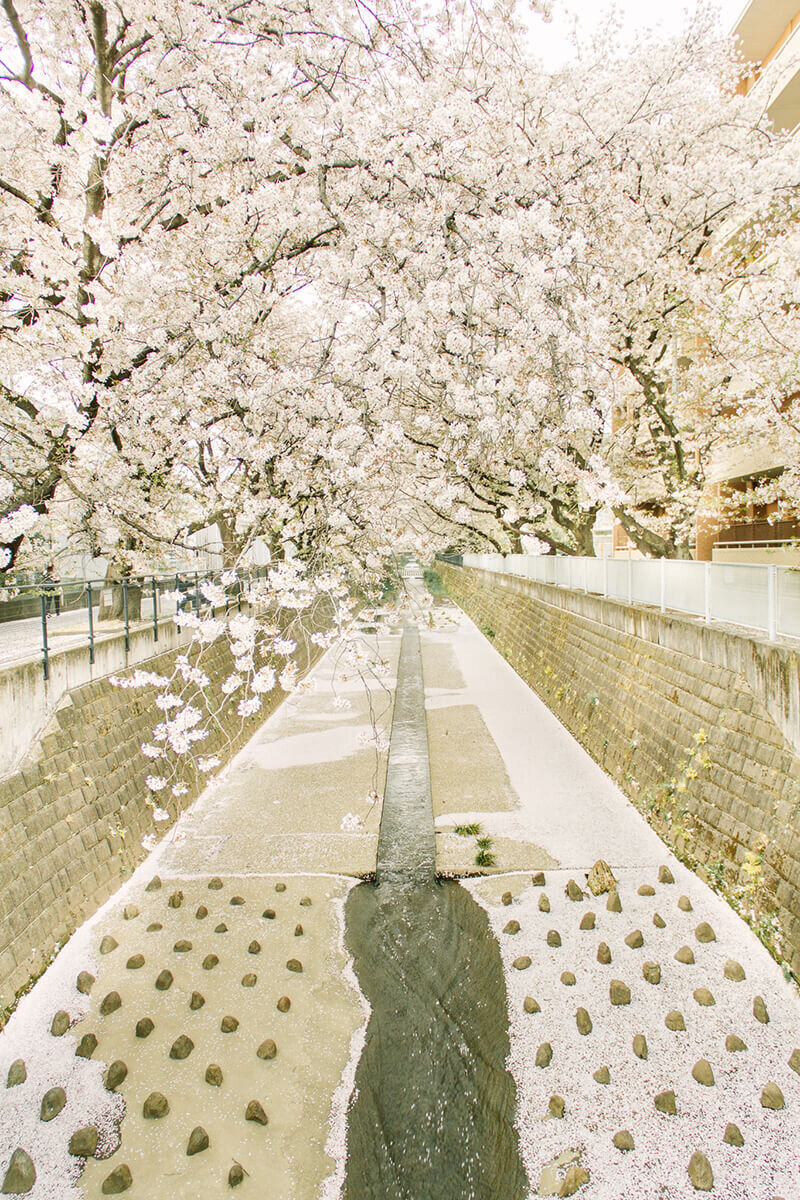 YukikaIshikawaPhotography22