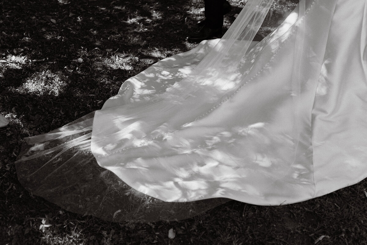 sunlight hitting back of dress detail