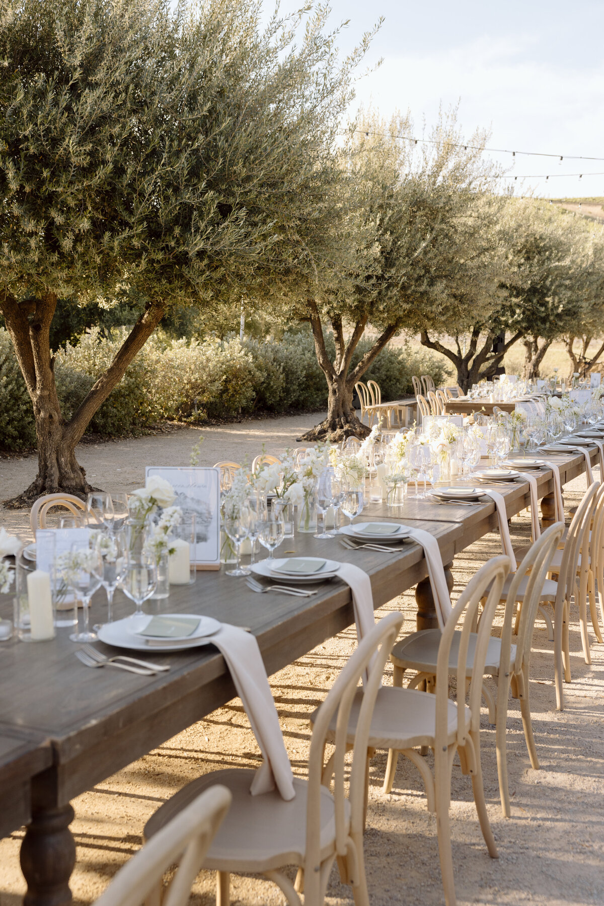 Paso Robles Wedding Photographer-54