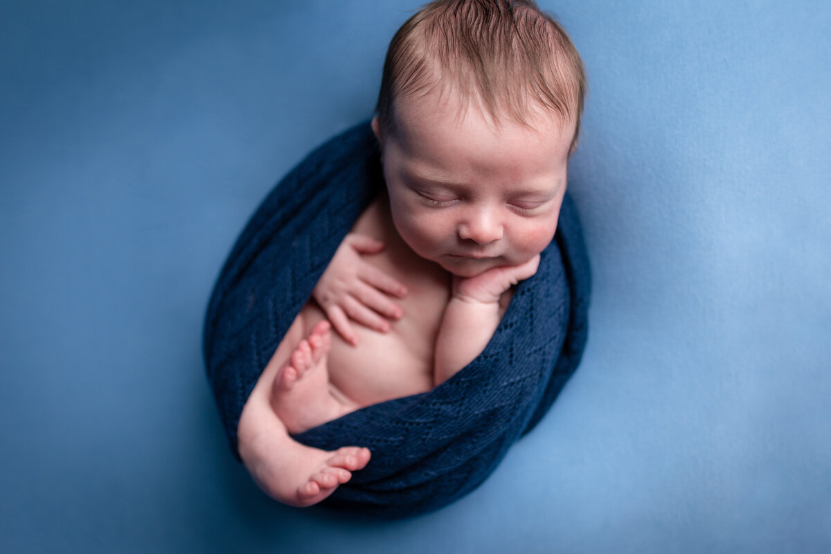 baby in blue egg navy wrapped newborn bluffton indiana northeast IN fort wayne newbron photographer baby photography