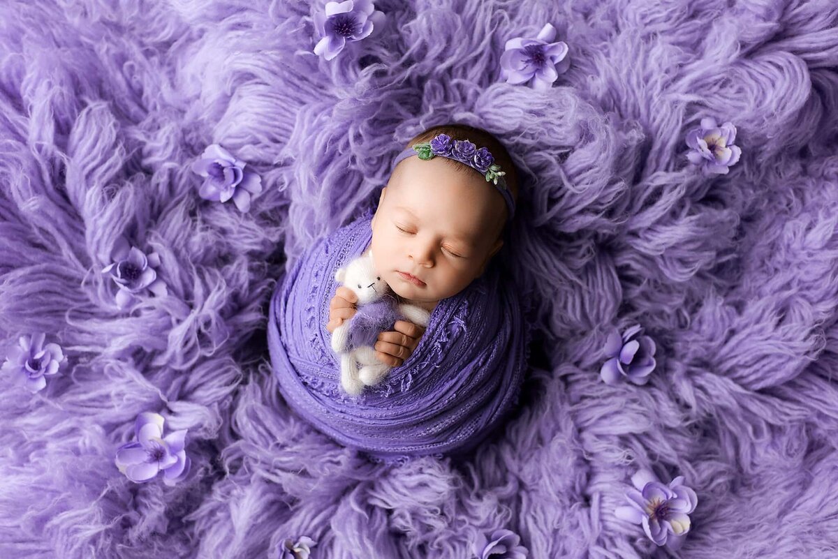 Newborn baby girl in lavender holding a lovie during Vancouver studio newborn photography session