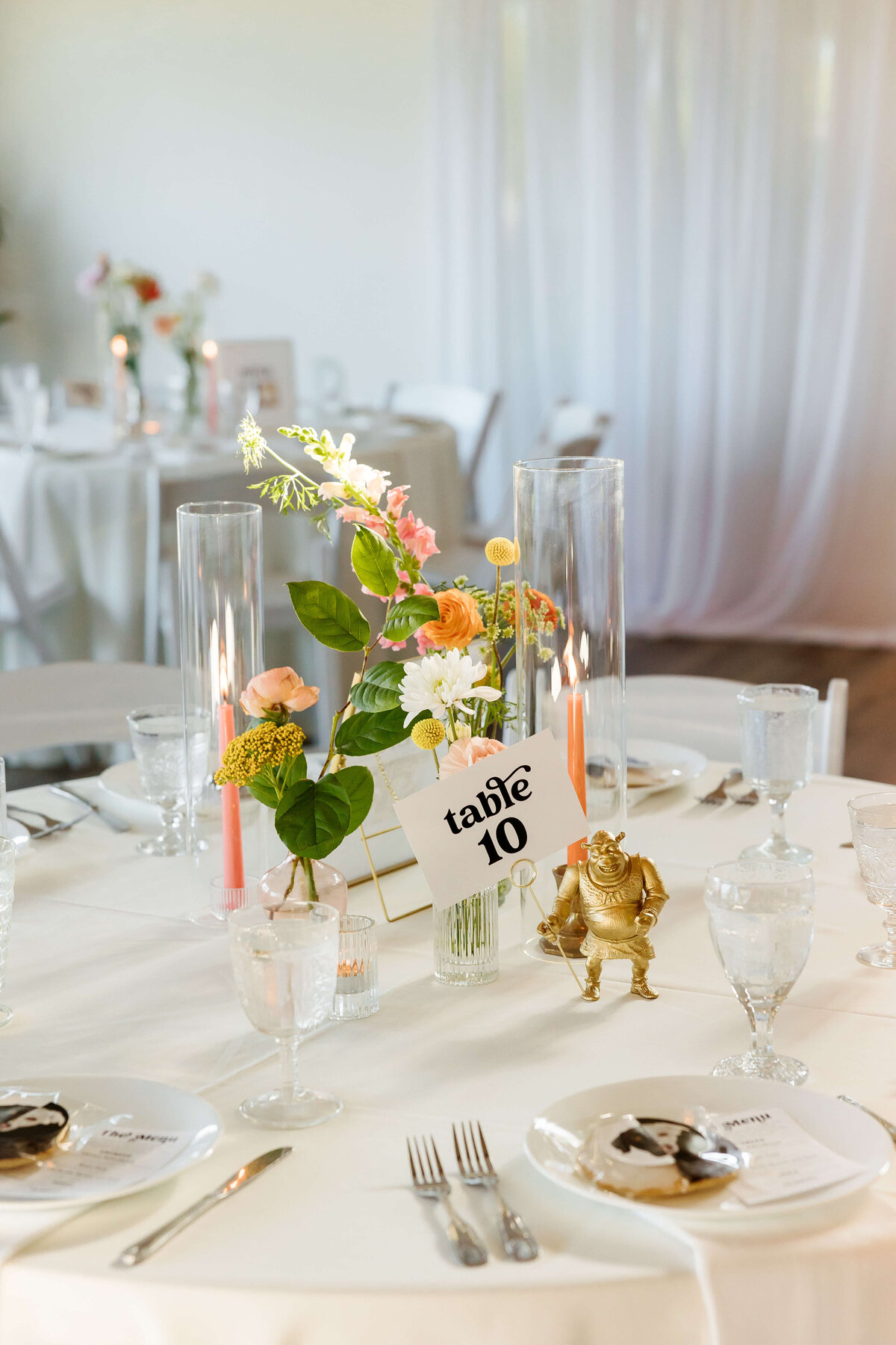 Blue-Ridge-Mountains-Wedding-85