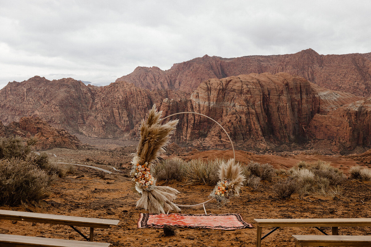 ZionSnowCanyon-dallinhassard-2195