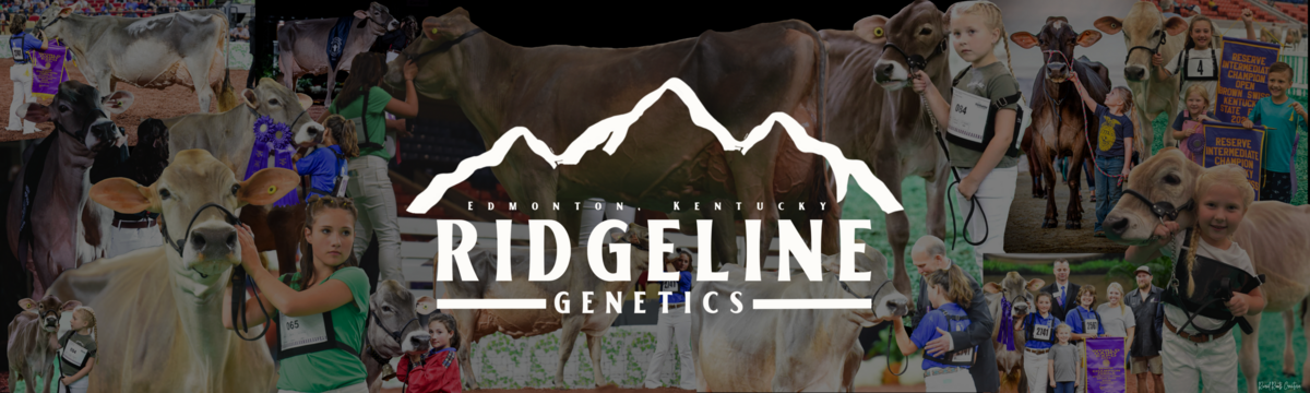 Ridgeline Genetics Grand Champion vinyl banner design
