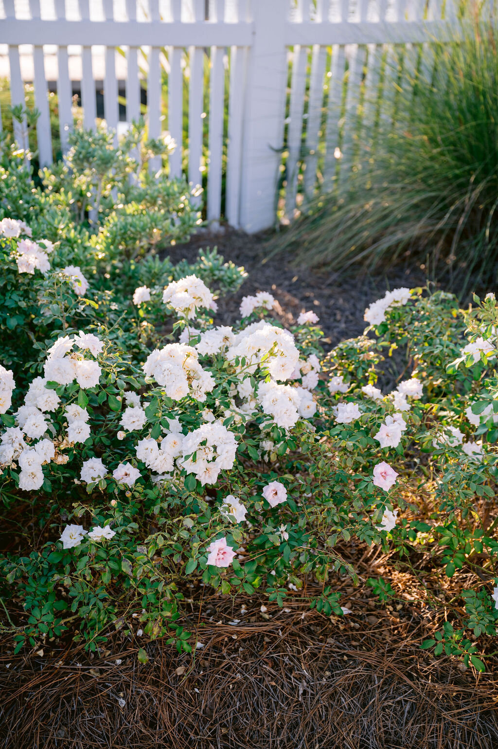 Haley-and-Michael-0121