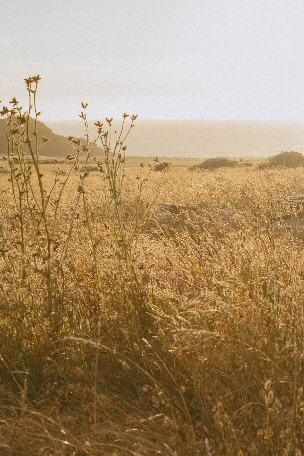 Emily-Noelle-Photo-Wedding-Photography-Sea-Ranch-California-03388_websize