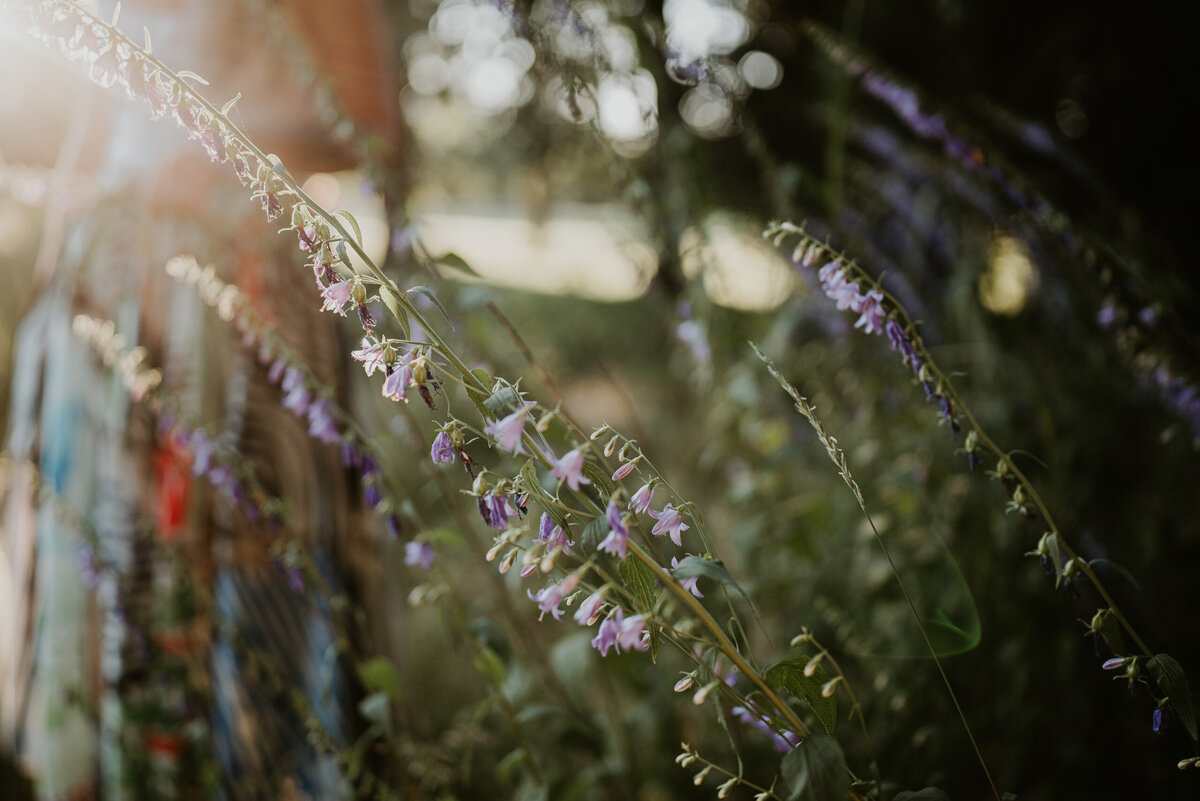 Women's Retreats on Bowen Island