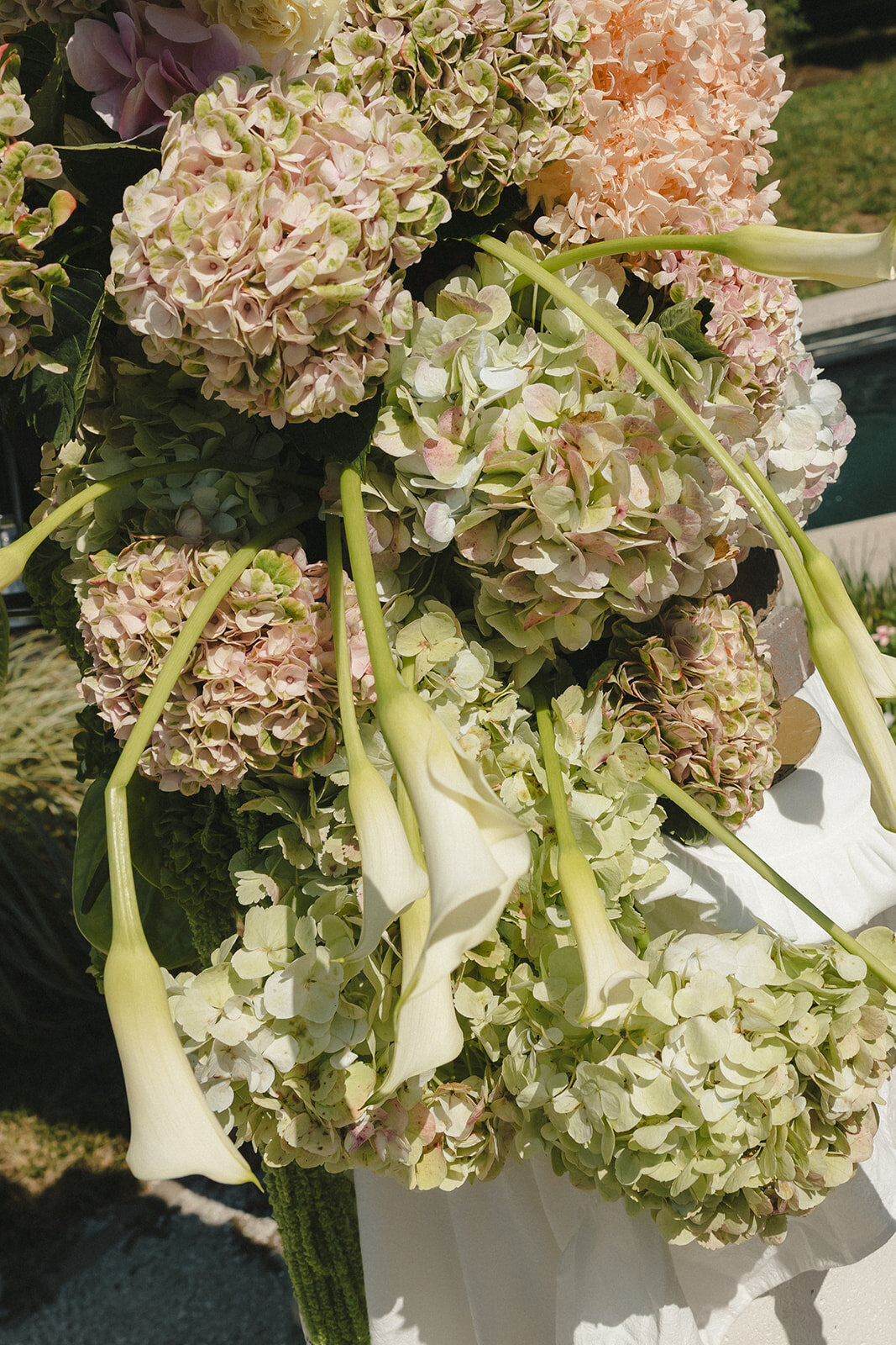 SCP_Ayala-719_websize