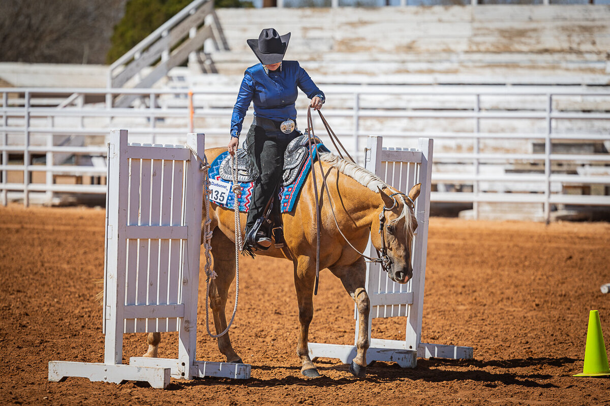 New-Mexico-Horse-Show-Photographer-038