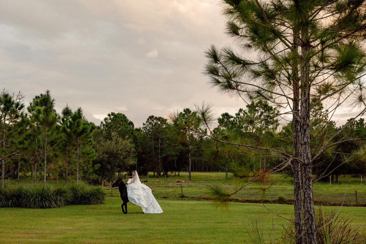 2023_11_11_YAMISEL_ROBERT_WEDDING-631