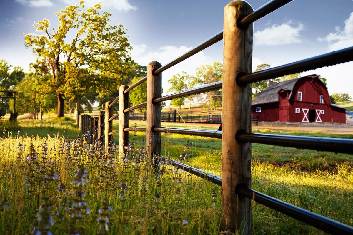 ponderosa-fence-022