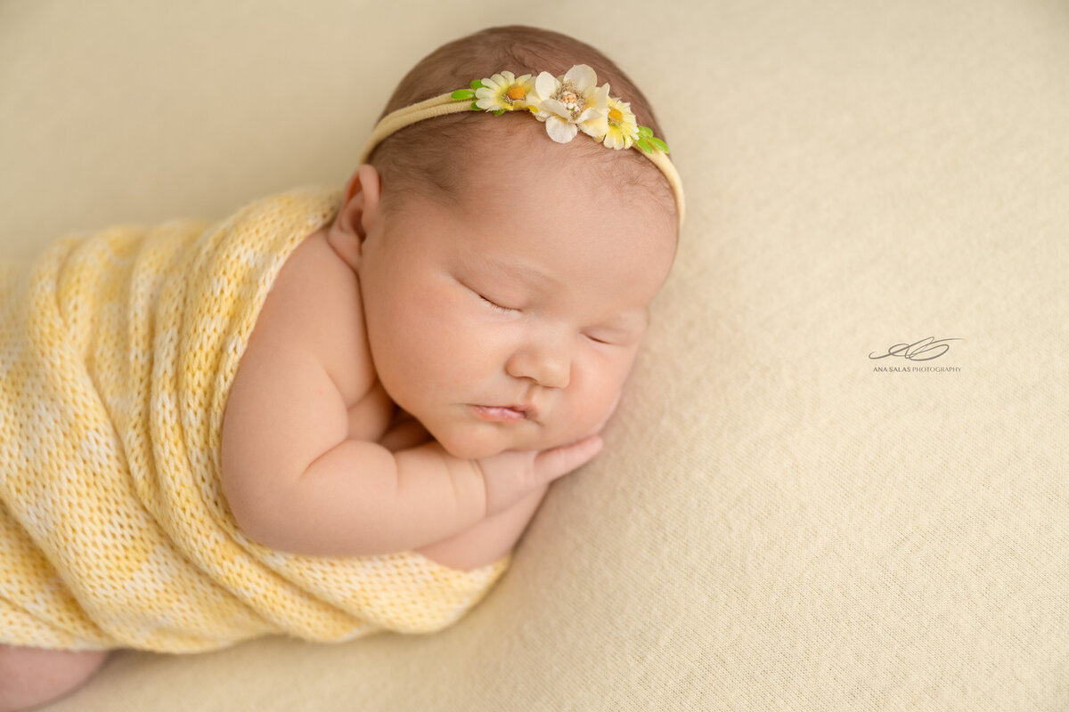 Edmonton Newborn Photography summer themed baby shoot